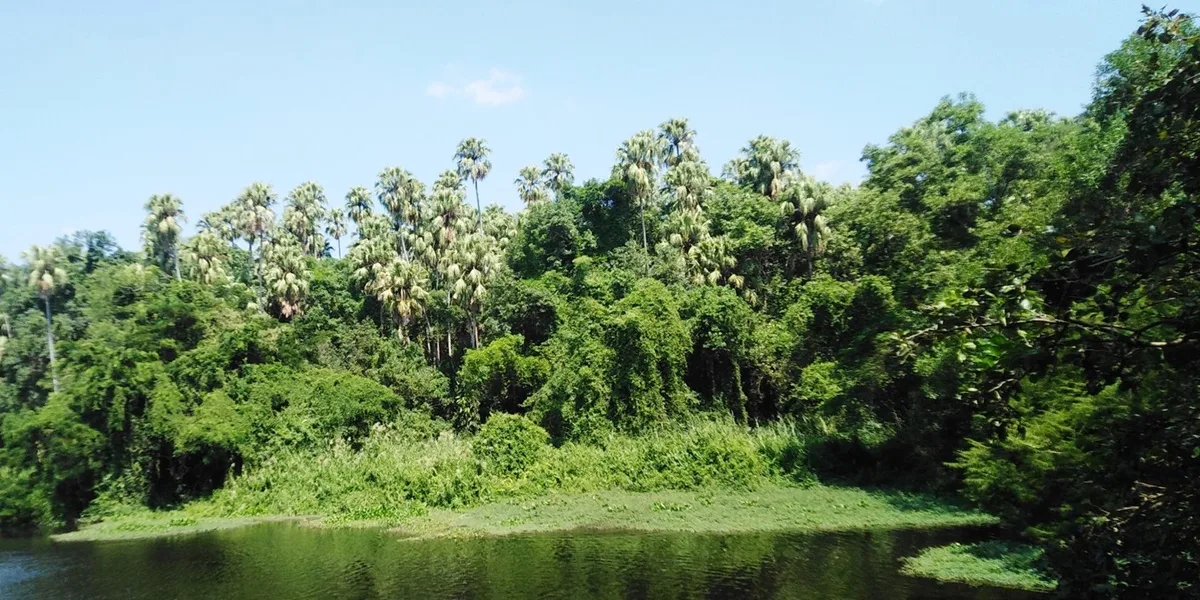 บนบานพญานาค ขอโชคลาภอย่างไรให้ถูกวิธี